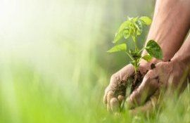 Organizațiile societății civile granturi proiecte ECO - agroexpert.md
