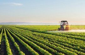 un nou proiect ce va sprijini tinerii femeile fermieri - agroexpert.md