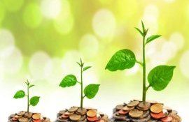 granturi 45 proiecte investiționale Moldova - agroexpert.md