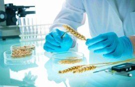 Cehia Moldova capacități de control testare fitosanitară - agroexpert.md