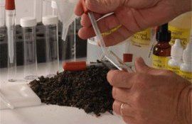 Как часто надо проводить агрохимический анализ почвы - agroexpert.md