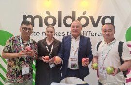 Premieră: Fructele moldovenești sunt prezentate la Asia Fruit Logistica
