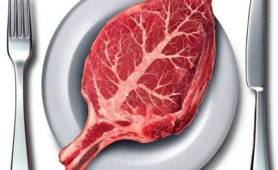 Французы хотят запретить называть растительное мясо мясом - agroexpert.md