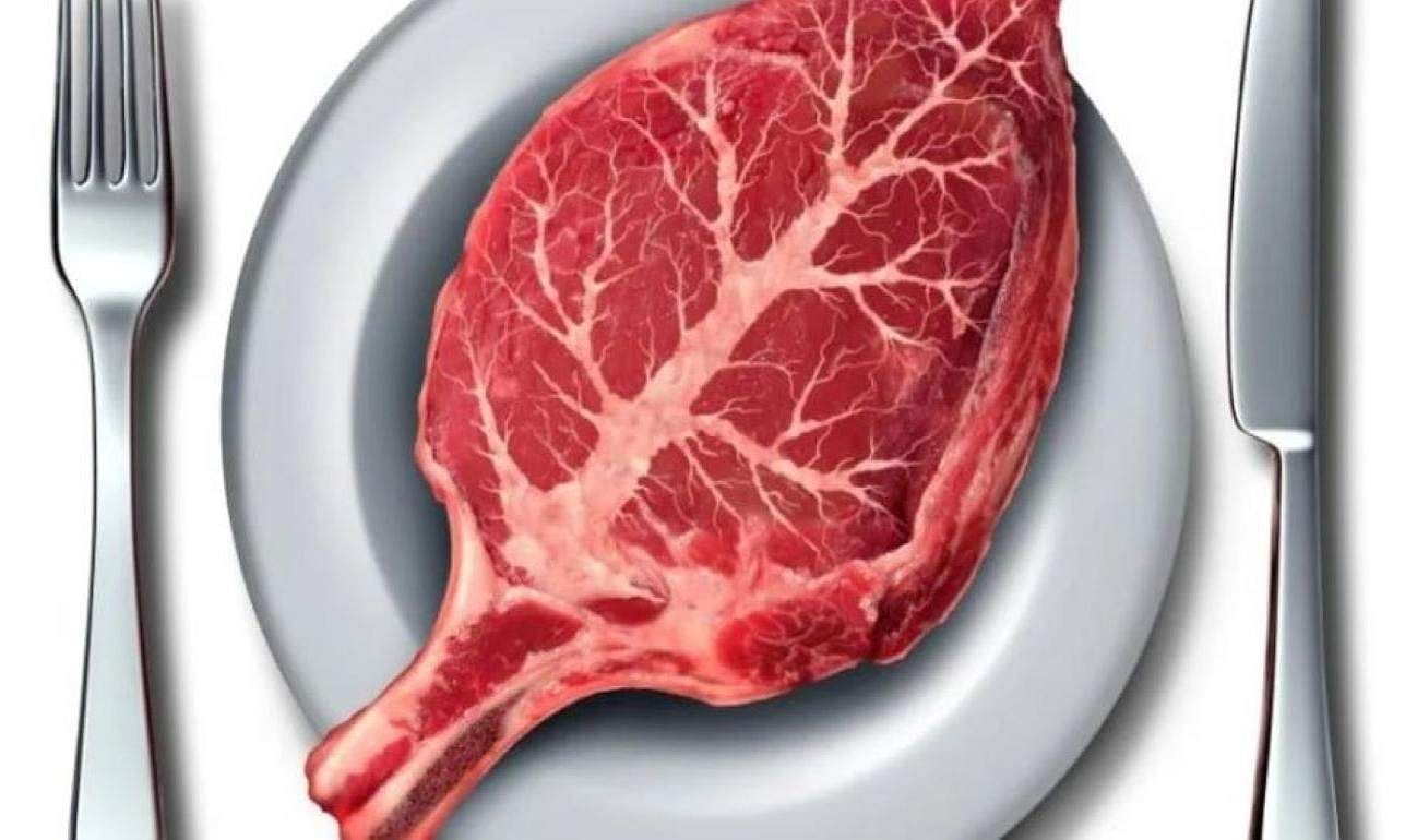 Французы хотят запретить называть растительное мясо мясом - agroexpert.md