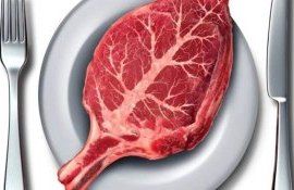 Французы хотят запретить называть растительное мясо мясом - agroexpert.md