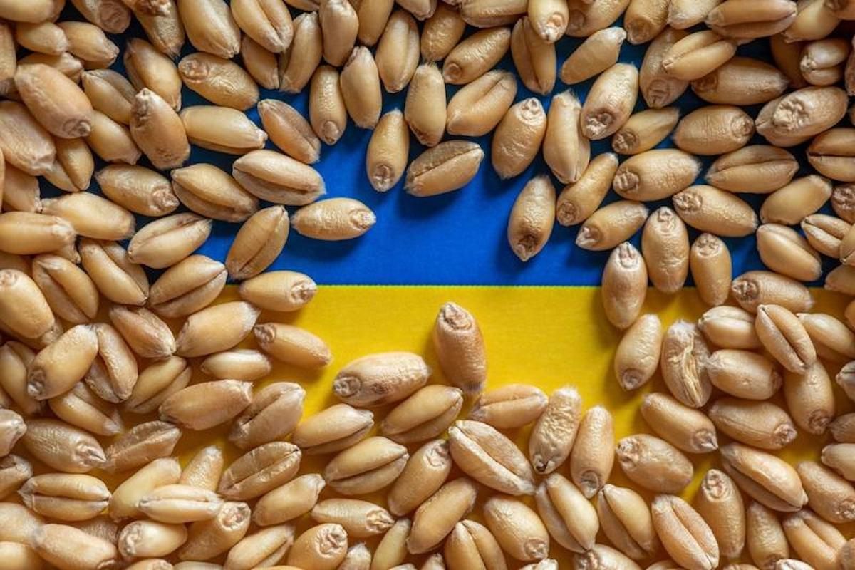 Ucraina export cereale Croația - agroexpert.md