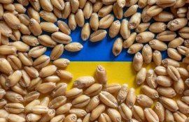 Ucraina export cereale Croația - agroexpert.md