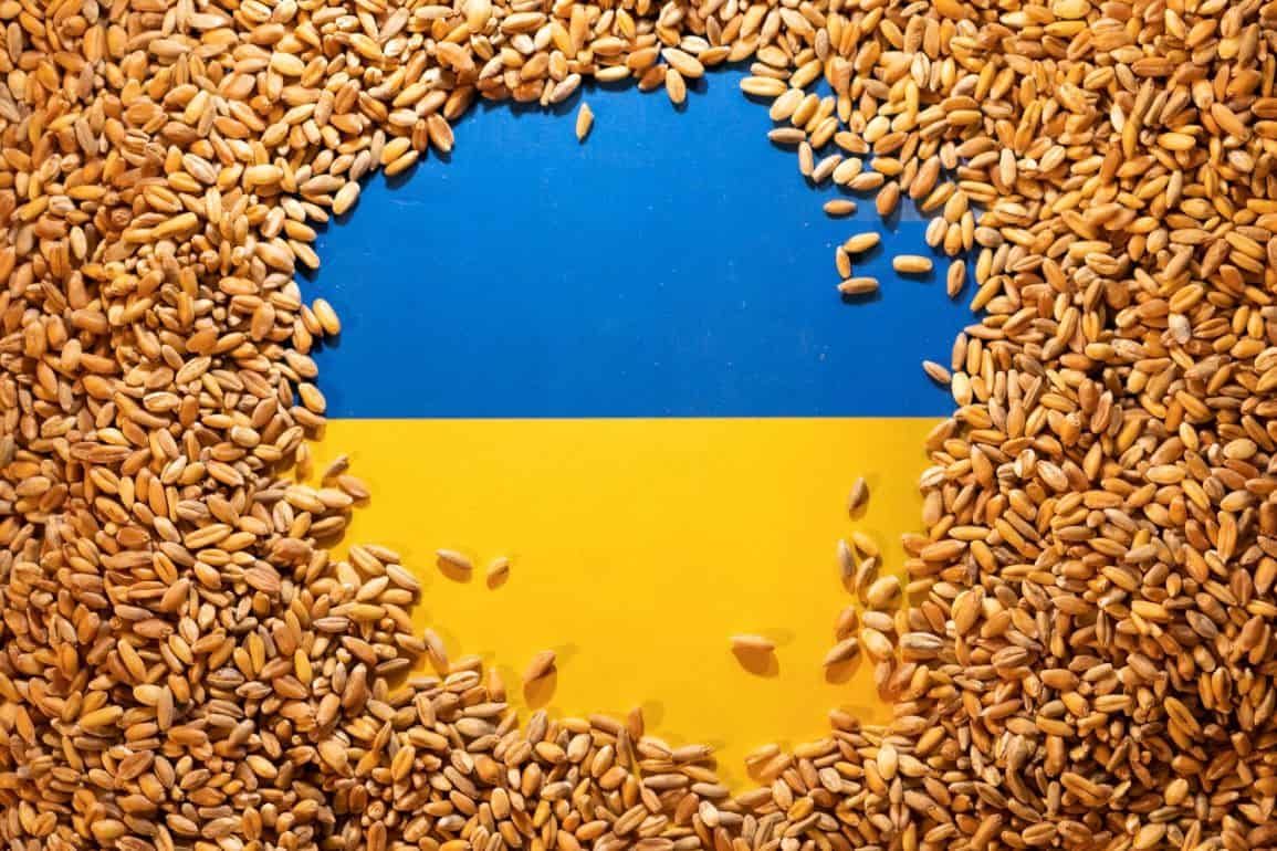 Румыния стала первой среди стран ЕС по объему импорта украинской продукции - agroexpert.md