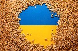 Румыния стала первой среди стран ЕС по объему импорта украинской продукции - agroexpert.md