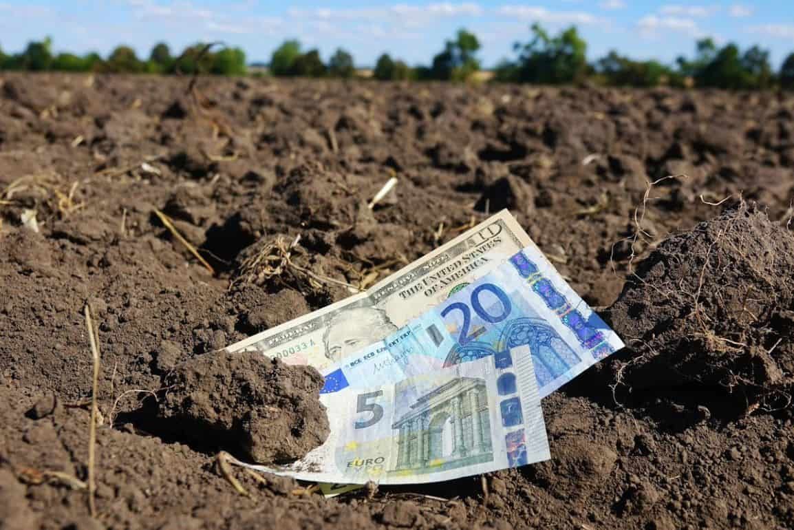 Рынок земли в Украине - agroexpert.md