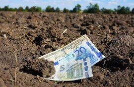Рынок земли в Украине - agroexpert.md