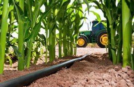 Сдвиги производственных зон выращивания агрокультур неизбежны - agroexpert.md