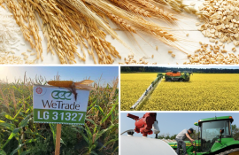 Подборка самых интересных новостей - agroexpert.md