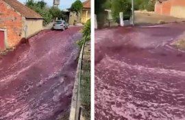 Portugalia vin pe stradă - agroexpert.md