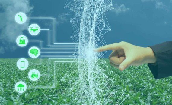 Новые разработки биостимуляторов для растений и удобрений решили доверить ИИ - agroexpert.md
