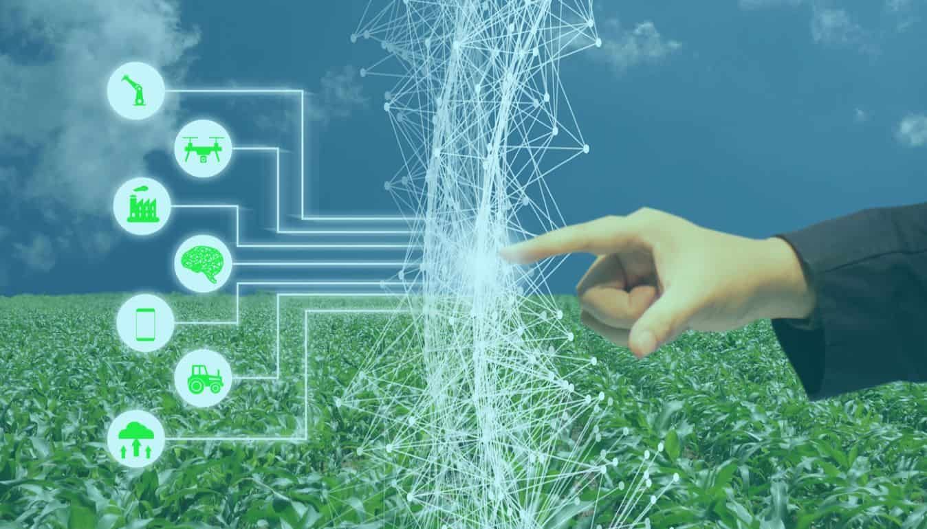 Новые разработки биостимуляторов для растений и удобрений решили доверить ИИ - agroexpert.md