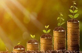 agricultura conservativă grant instituții agricole - agroexpert.md