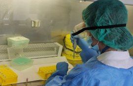 ANSA metode noi de testare sănătatea animalelor - agroexpert.md