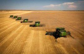 Минсельхоз США опубликовал новый отчет по мировому рынку пшеницы - agroexpert.md