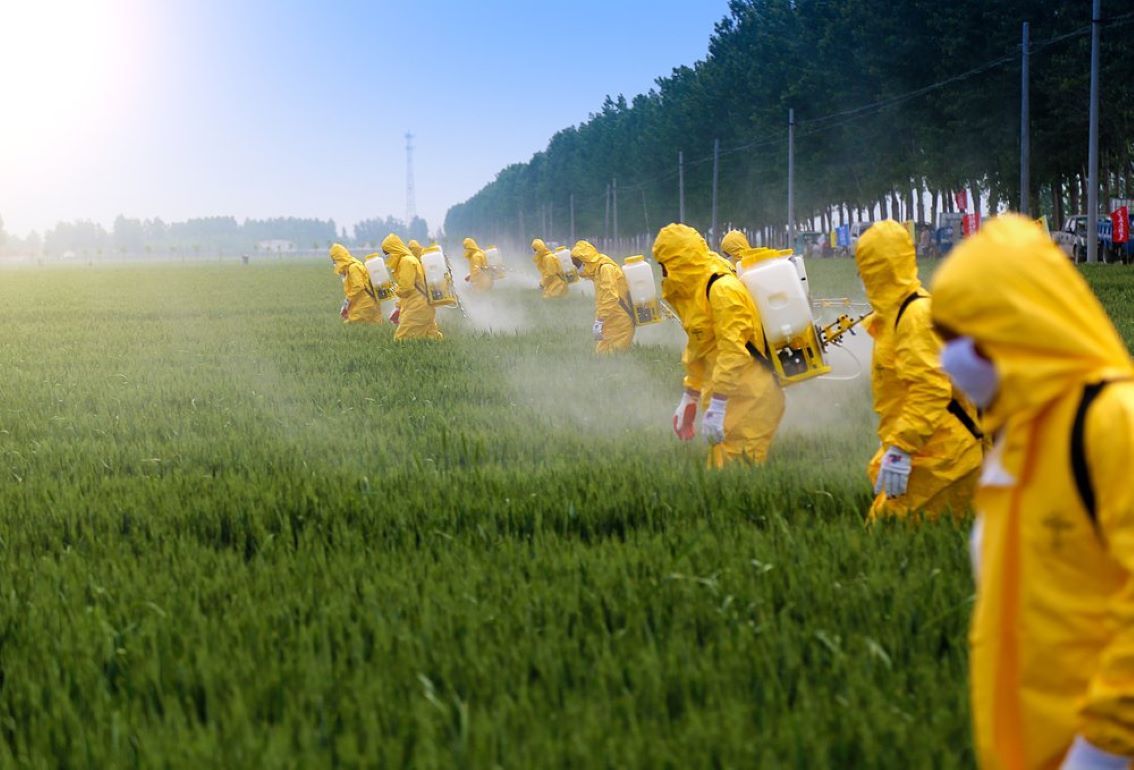 Данные о загрязнении пестицидами водоемов опубликовали аналитики ООН - agroexpert.md