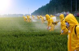 Данные о загрязнении пестицидами водоемов опубликовали аналитики ООН - agroexpert.md