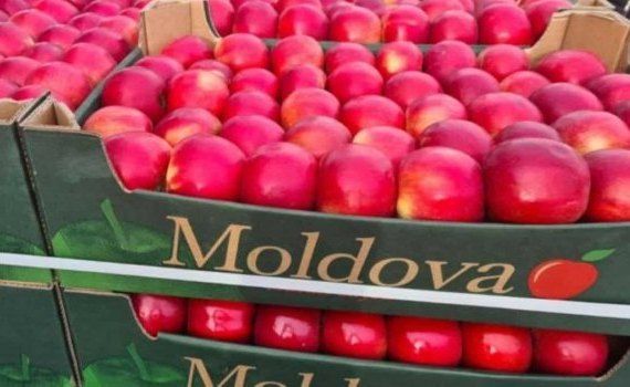 Качественного яблока в Молдове мало, весной оно будет дорогим – прогноз - agroexpert.md
