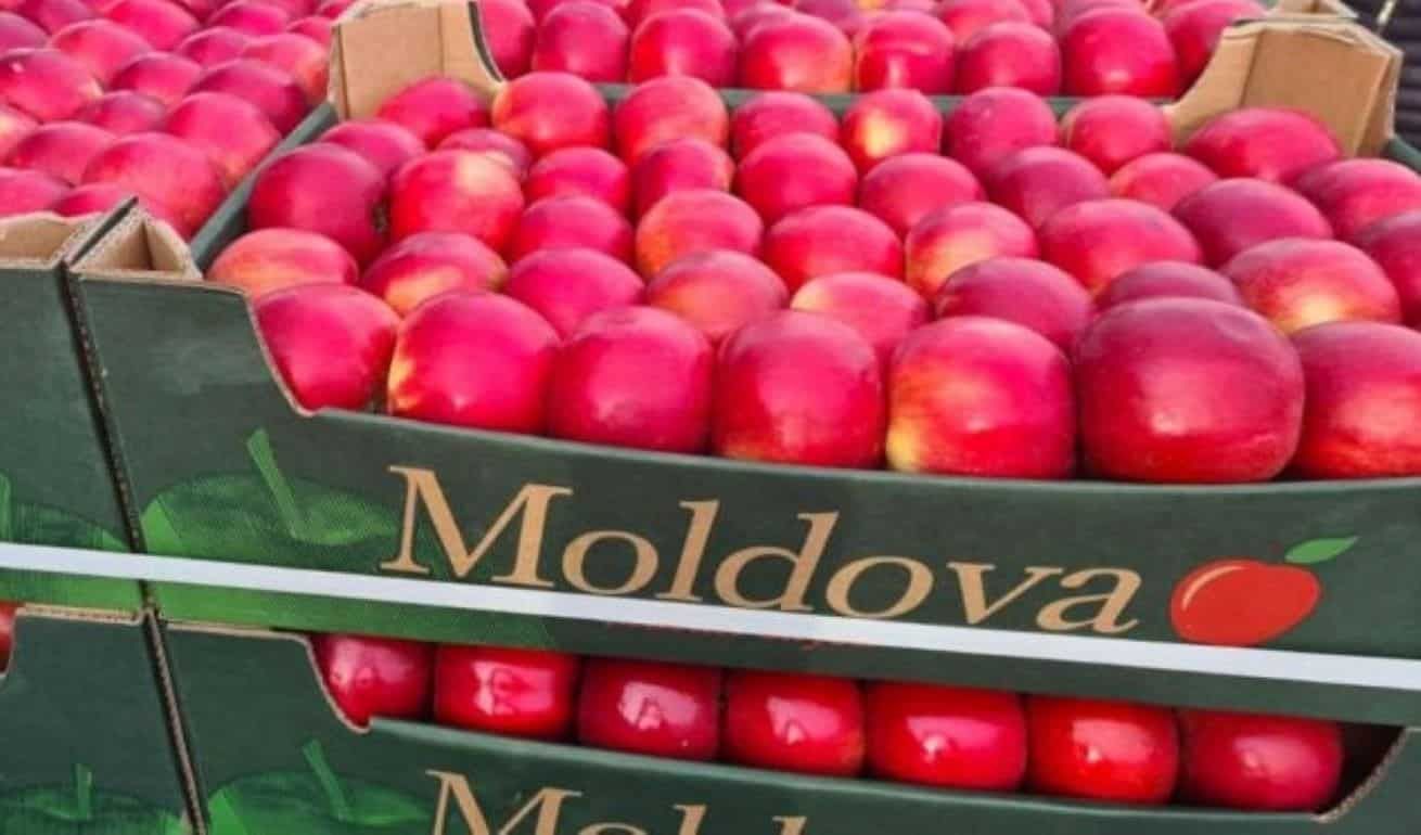 Качественного яблока в Молдове мало, весной оно будет дорогим – прогноз - agroexpert.md