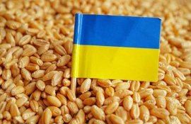 Ungaria România Bulgaria Slovacia import cereale ucrainene - agroexpert.md