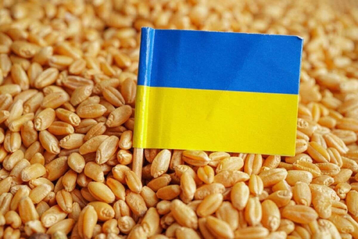 Ungaria România Bulgaria Slovacia import cereale ucrainene - agroexpert.md