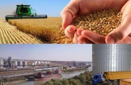 Молдавский рынок зерновых в зеркале тренда европейской биржи Matif