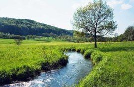 Организации загрязняющие воду пестицидами привлекут к финансированию - agroexpert.md