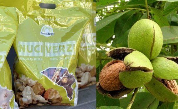 Продажа свежесобранного ореха – растущий нишевый бизнес ореховодов Молдовы - agroexpert.md