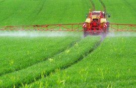 Sentera запустит новую технологию селективного внесения гербицидов - agroexpert.md