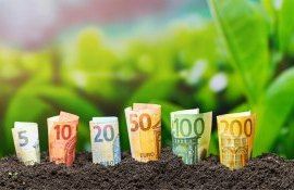 subvenții în avans regulament - agroexpert.md