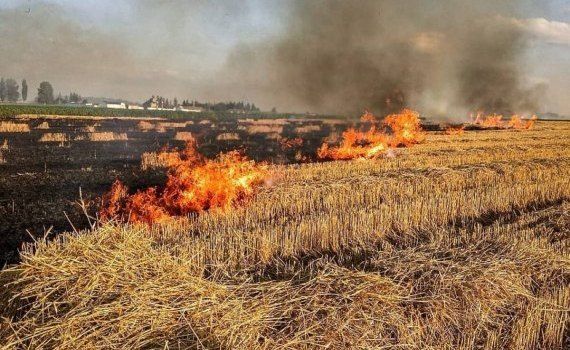 Cod Galben incendiu Moldova - agroexpert.md