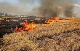 Cod Galben incendiu Moldova - agroexpert.md