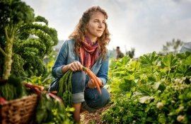 Moldova antreprenoriat feminin - agroexpert.md