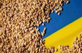 eliminată restricția import cereale Ucraina - agroexpert.md