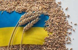 Три страны ЕС продлевают эмбарго на импорт украинских зерновых - agroexpert.md