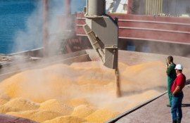 Ucraina export Constanța - agroexpert.md