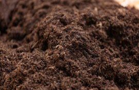 pași dezinfectarea BIO sol - agroexpert.md