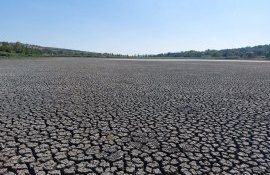 secetă iaz secat - agroexpert.md