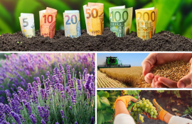 самых интересных новостей - agroexpert.md