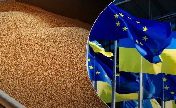 Украинское зерно: Еврокомиссия созывает встречу заинтересованных сторон - agroexpert.md