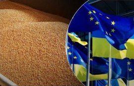 Украинское зерно: Еврокомиссия созывает встречу заинтересованных сторон - agroexpert.md