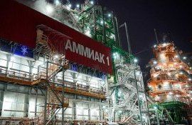 Fitch Ratings повысил прогноз цен аммиака и карбамида на 2023 год - agroexpert.md