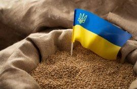 export cereale Ucraina România - agroexpert.md