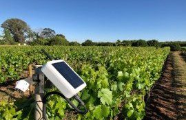 Agricultori sprijin financiar stații meteo - agroexpert.md