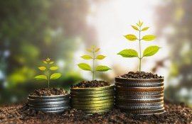 Programul 373 sprijin antreprenori - agroexpert.md