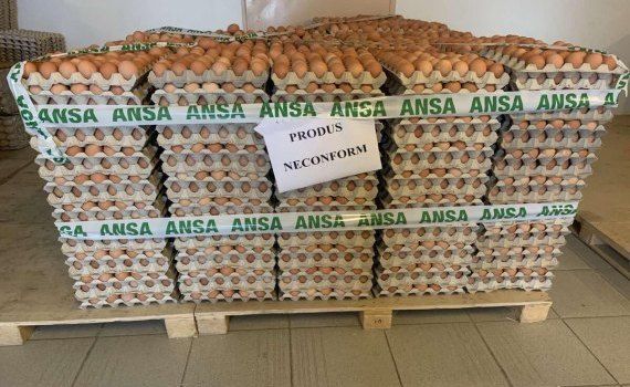 Ouă salmonella retrase comerț - agroexpert.md